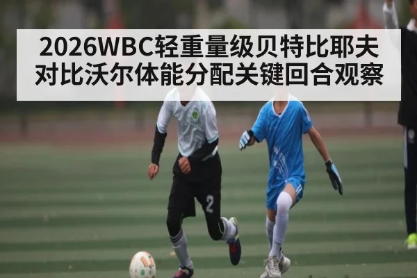 2026WBC轻重量级贝特比耶夫对比沃尔体能分配关键回合观察